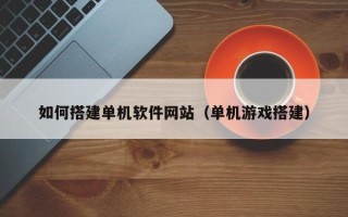 三沙如何搭建单机软件网站（单机游戏搭建）